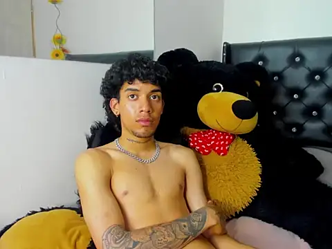 Ryder-Stone webcam