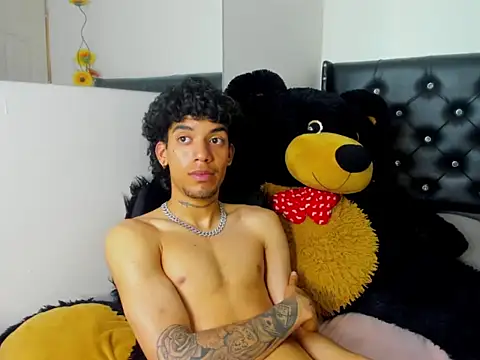 Ryder-Stone webcam