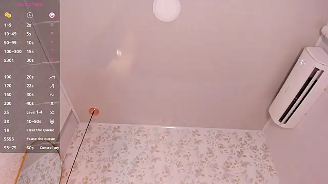 camii_raux webcam