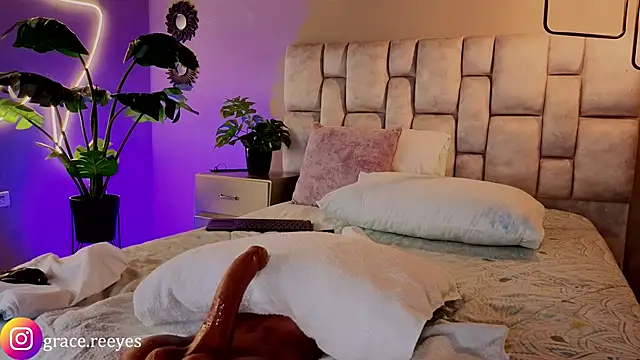 Silvermistt webcam