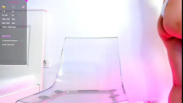 Aidasina webcam