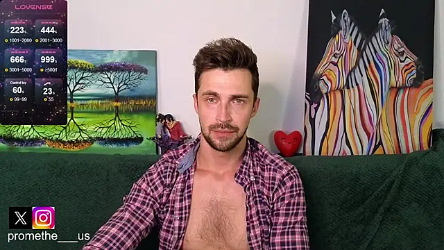 Promethe_us webcam