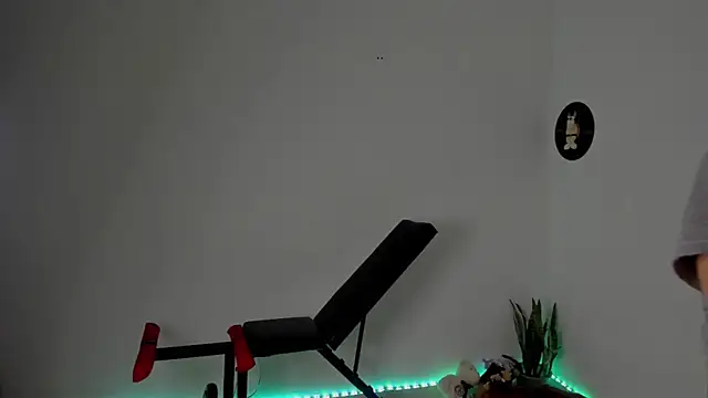 star_shooting8 webcam