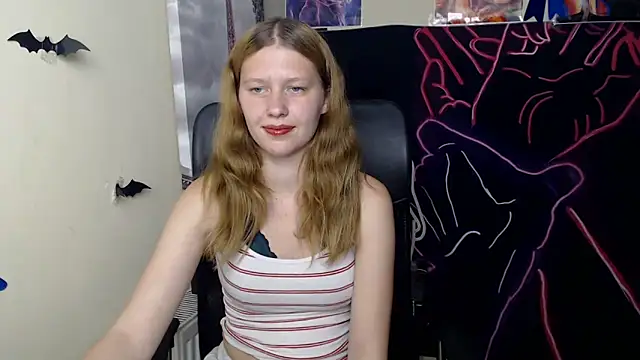 StellaCRL webcam