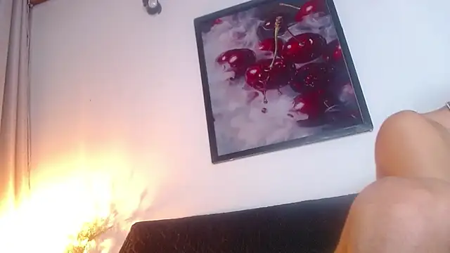 Jesve webcam