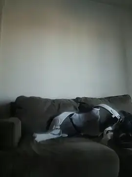 yourMasterisBored webcam