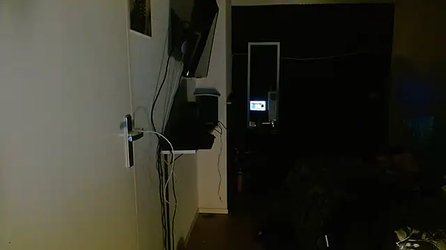 Blauwe_Vinkje webcam