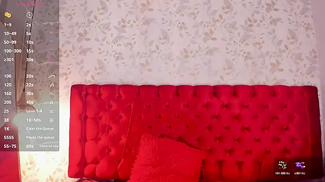 camii_raux webcam