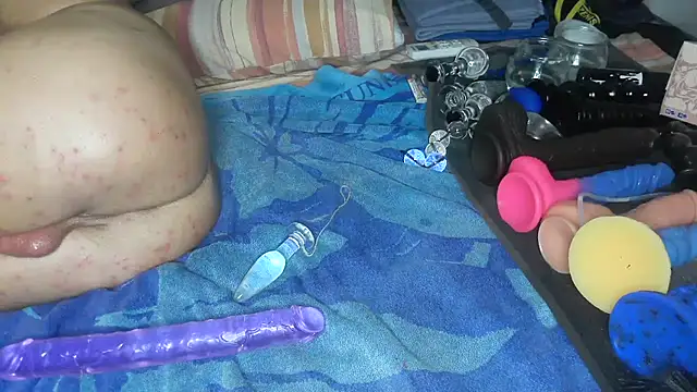Analvision26 webcam