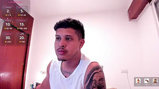 JohanSmith webcam