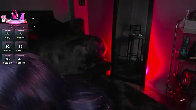 Draculairis webcam