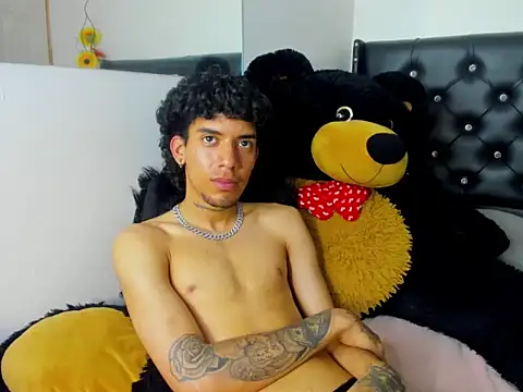 Ryder-Stone webcam
