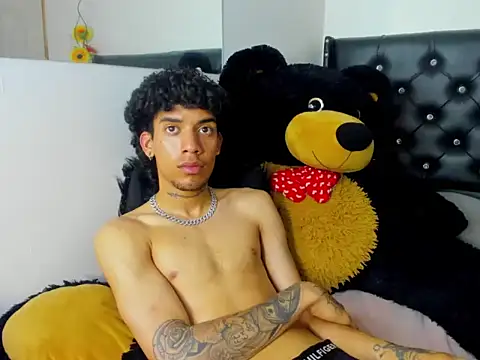 Ryder-Stone webcam