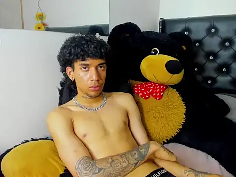 Ryder-Stone webcam