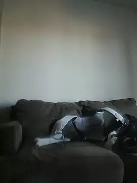 yourMasterisBored webcam