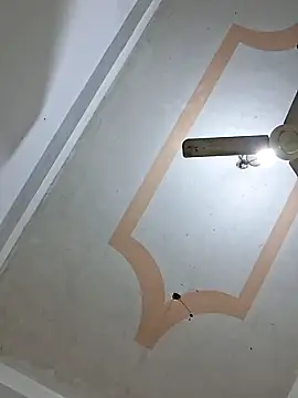 preya6 webcam