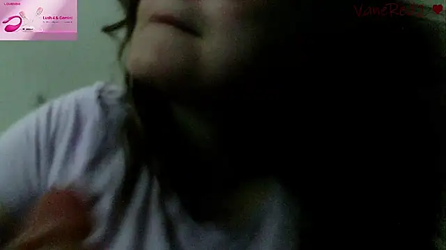 vanered2 webcam