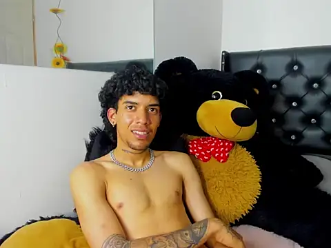 Ryder-Stone webcam