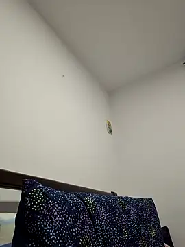 IrisBound webcam