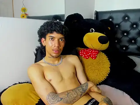 Ryder-Stone webcam