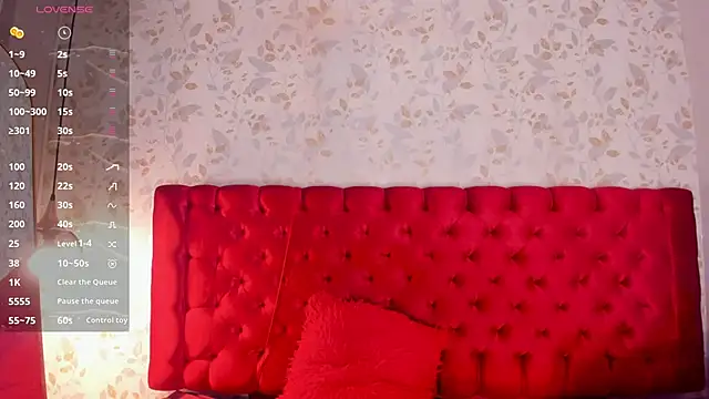 camii_raux webcam