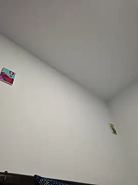 IrisBound webcam