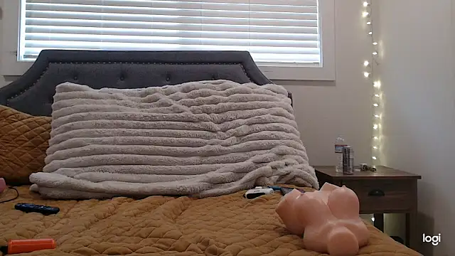 SecretsNextDoor webcam