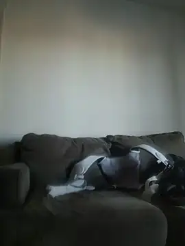 yourmasterisbored - YourMasterisBored's free webcam - UK Sex Cams