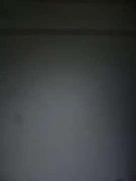 Sasha-firee webcam