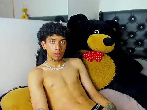 Ryder-Stone webcam