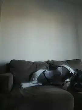 yourMasterisBored webcam