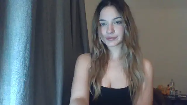 EvelineMagnetic webcam