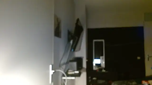 Blauwe_Vinkje webcam