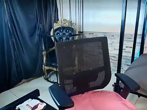 vanestone webcam