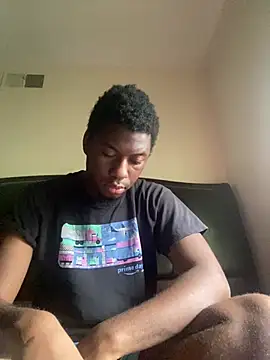 ThickDic28 webcam