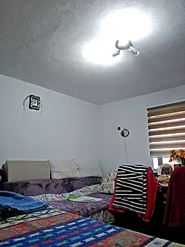IsabelleCraft webcam