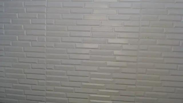 Karol_prescot webcam