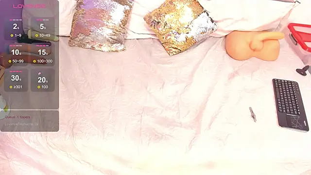 cookplleaser webcam