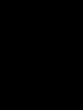 F0X89 webcam