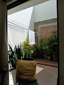 Mike_savage3 live sex cam