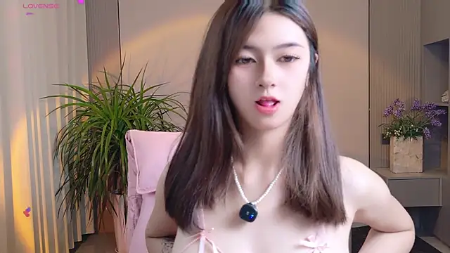 DoDo-2026 webcam