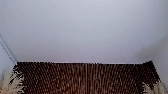 _Cherry_fox webcam