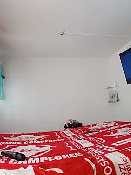 Ann_Houston_ webcam