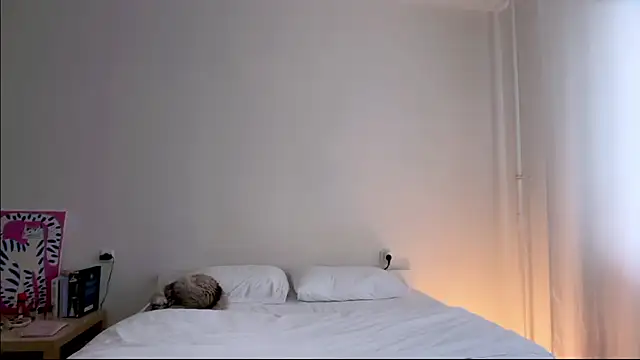 Milky___Way webcam