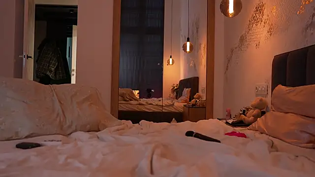 ibiddi webcam