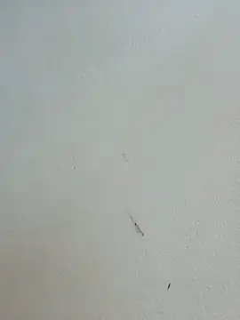 -Bitilu- webcam