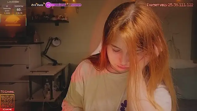 Link_OR webcam