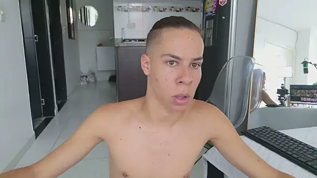 grey___27 webcam