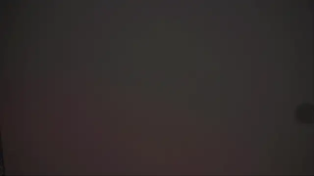 AlesiaPeasel webcam