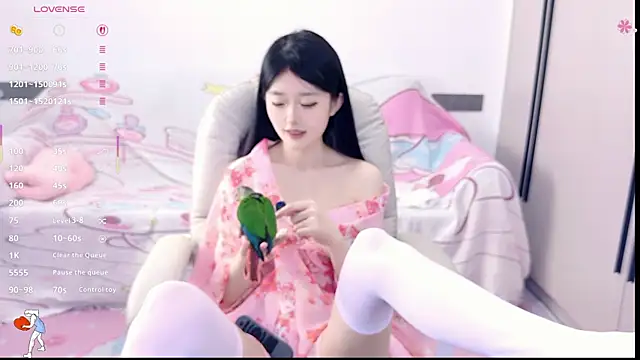 KylinKylin webcam